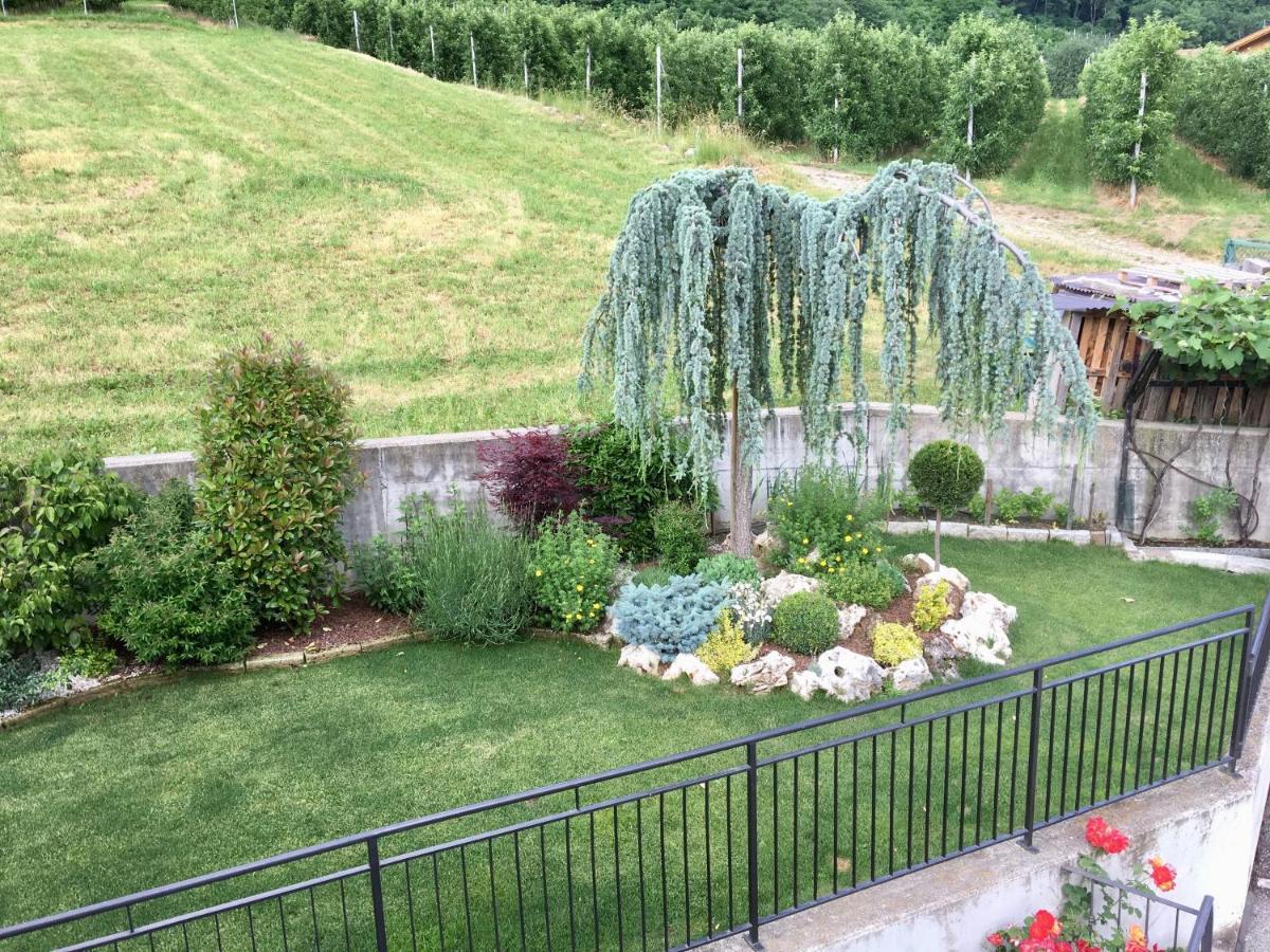 Ferienwohnung Mansarda Con Giardino Val Di Sole Trentino Terzels Exterior foto